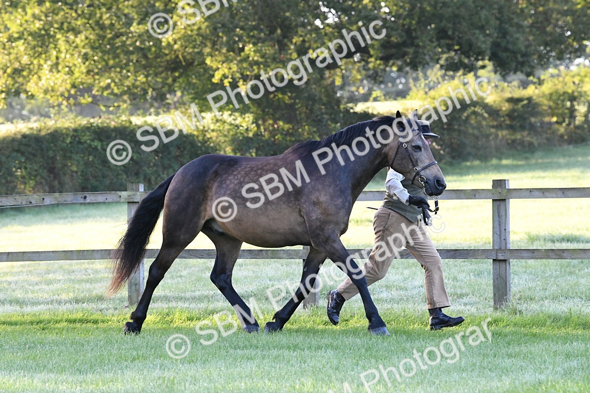 SBM_32513 - S15 - Condition & Turnout In Hand