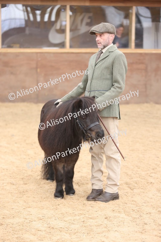 20251109-0308 - Class 13 - Mares 4 Years and Over