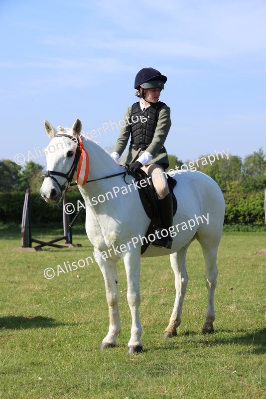 20250427-0589 - Class 17 - Novice Showing