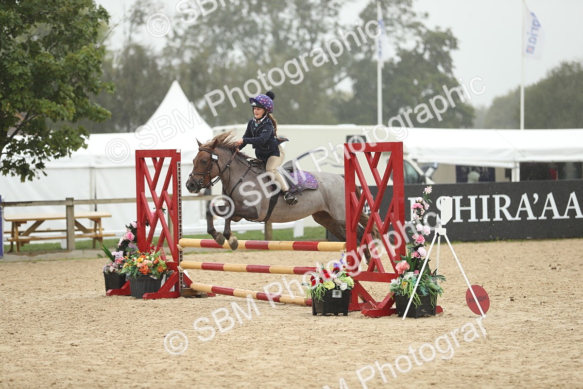 SBM_74031 - J16 - Junior Pony 75cm Championship
