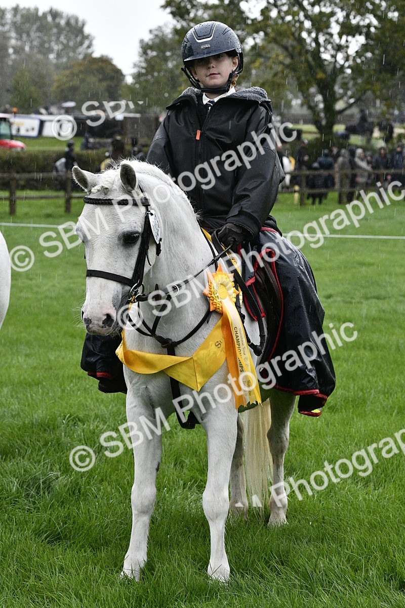 SBM_35576 - S30 - Nursery Stakes Working Hunter Pony