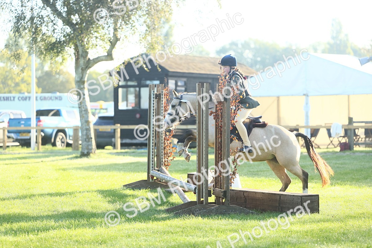 SBM_31838 - S28 - Nursery Stakes Working Hunter Pony