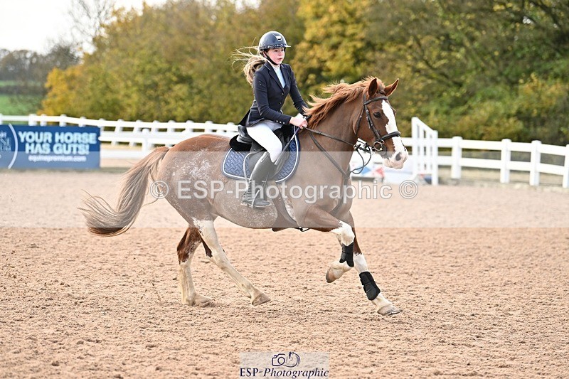 241117X-100552-03572 - Cls 09s Pony intro 90cm