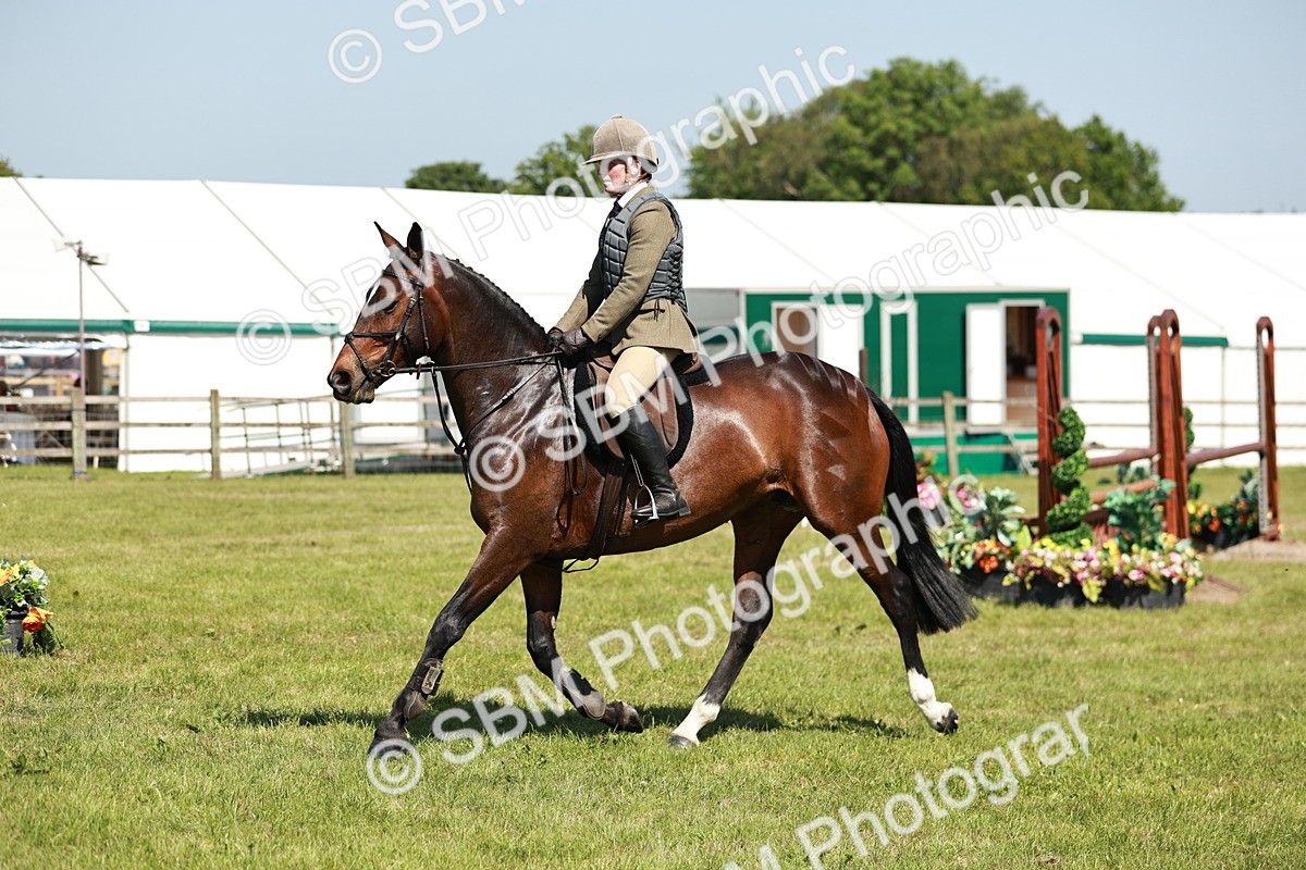 SBM_18343 - Class 112-113 - BSPS LIHS Working Sports Pony