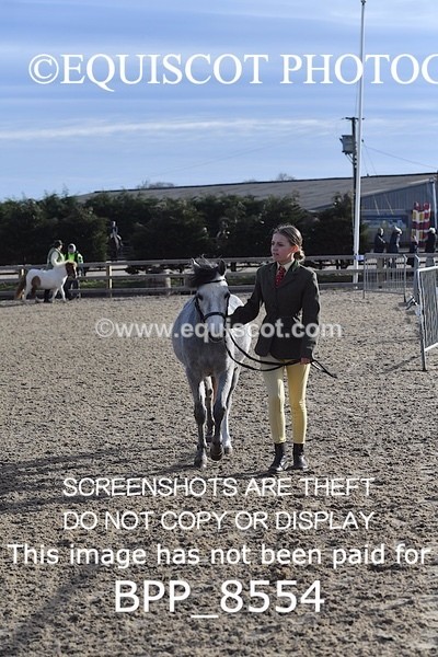 BPP_8554 - RING 2 - M&M