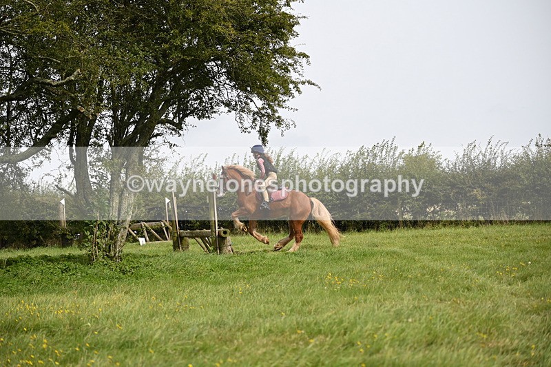 WJ6_8294 - Time 12:18 to 12:59