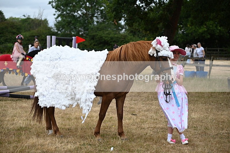 WJ6_8762 - Class 11 Fancy Dress