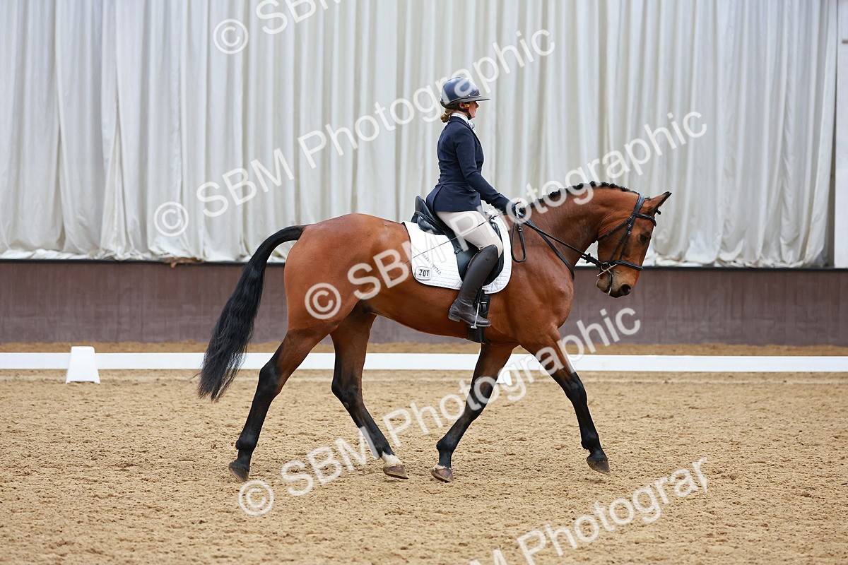 SBM_003262 - Class 11 - Novice 2