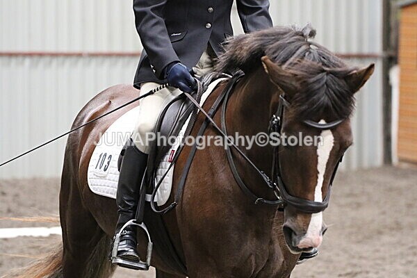 SIAL5020 - CAbin Dressage 5th july 2025