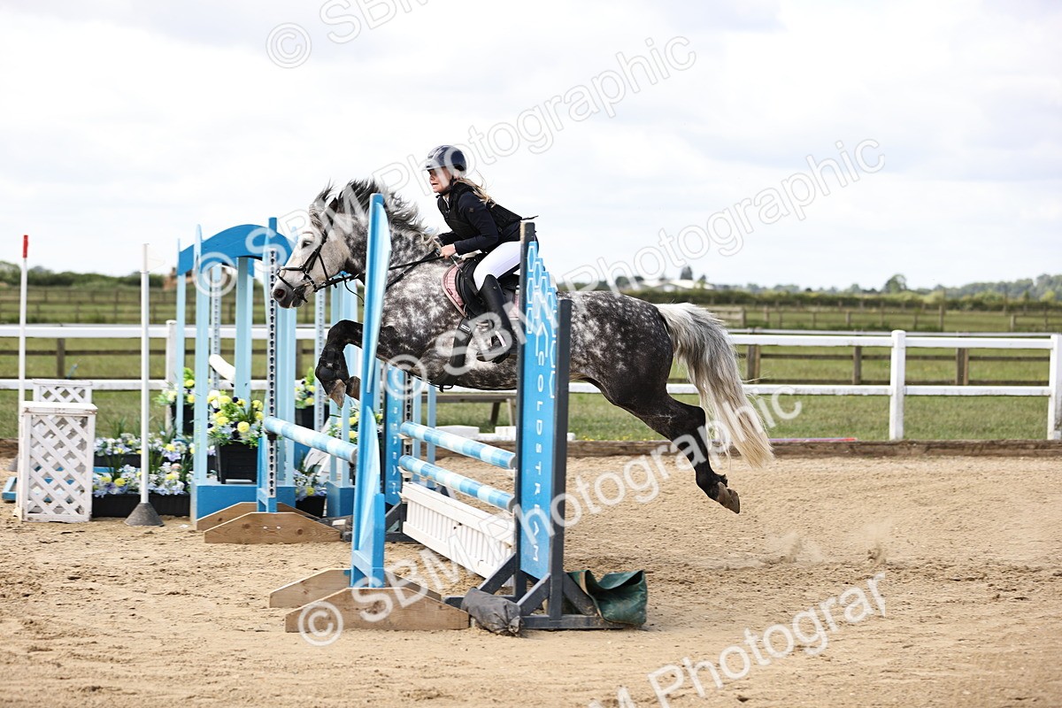 SBM_007248 - Class 2 - 80cm showjumping