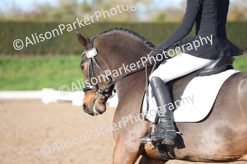 20251102-0294 - Class 2 - Prelim 6