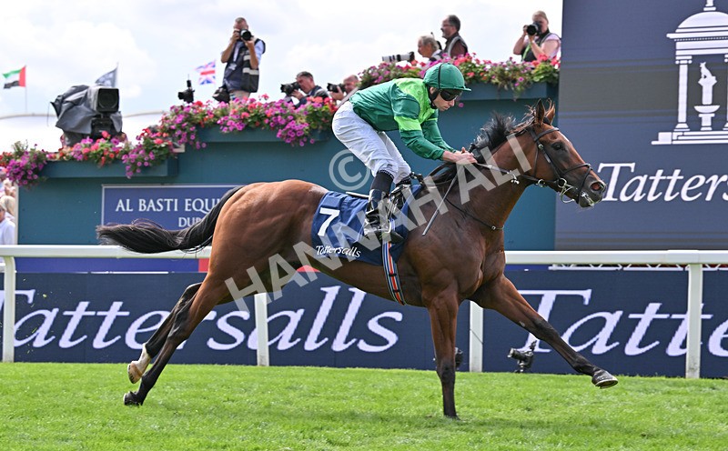190826-050 Haffner - Race 2 14.25pm Tattersalls Acomb Stakes