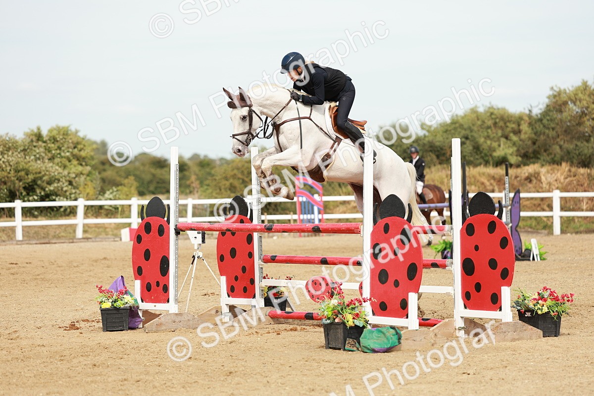 SBM_008258 - Class 4 - Senior Foxhunter - 1.20m Open