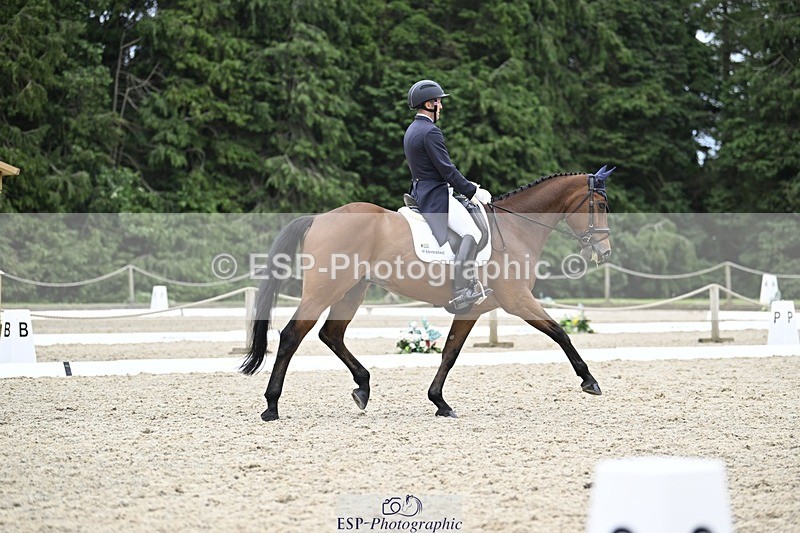 240523-161142-05425 - 443-FIGARO_DES_PREMICES-Alexander_Peternell