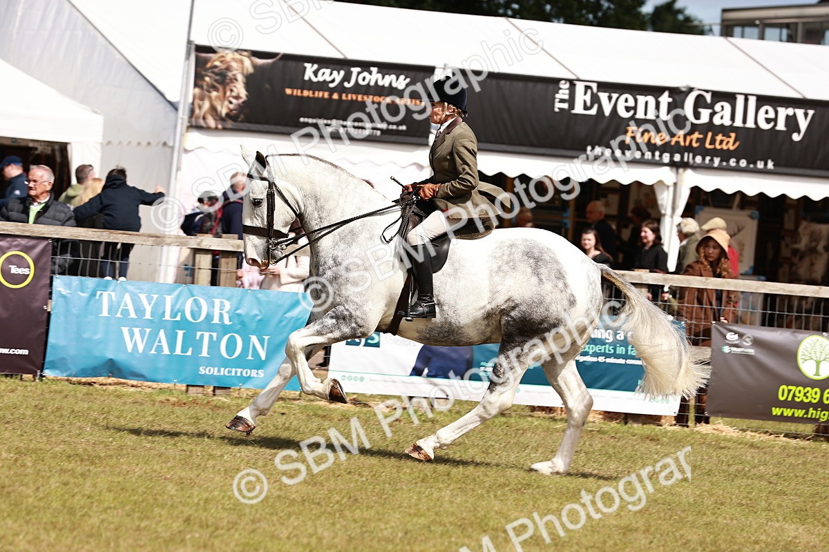 SBM_14041 - Class 85-87 - RIHS Cobs