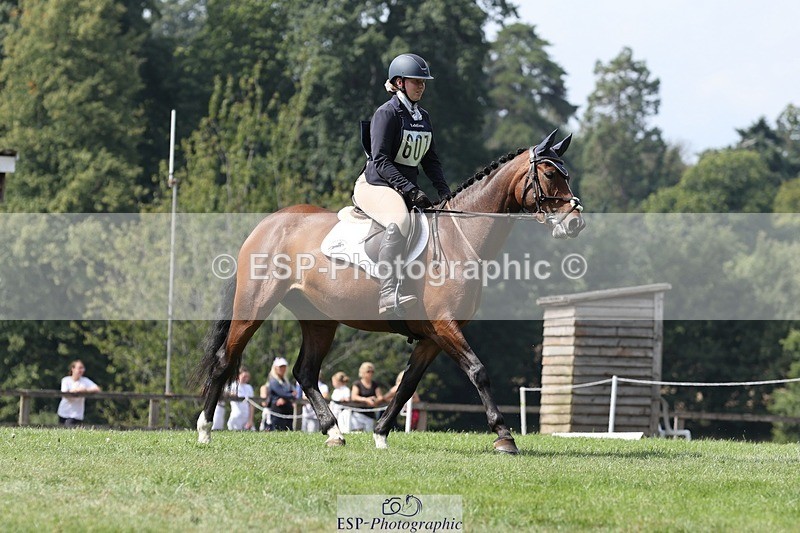 250823A-140130-31429 - Arena D