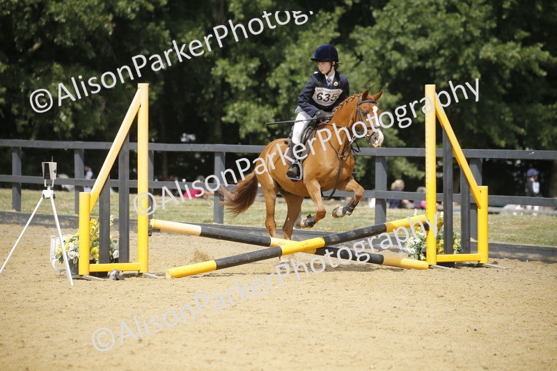 20250622-4001 - 50cm