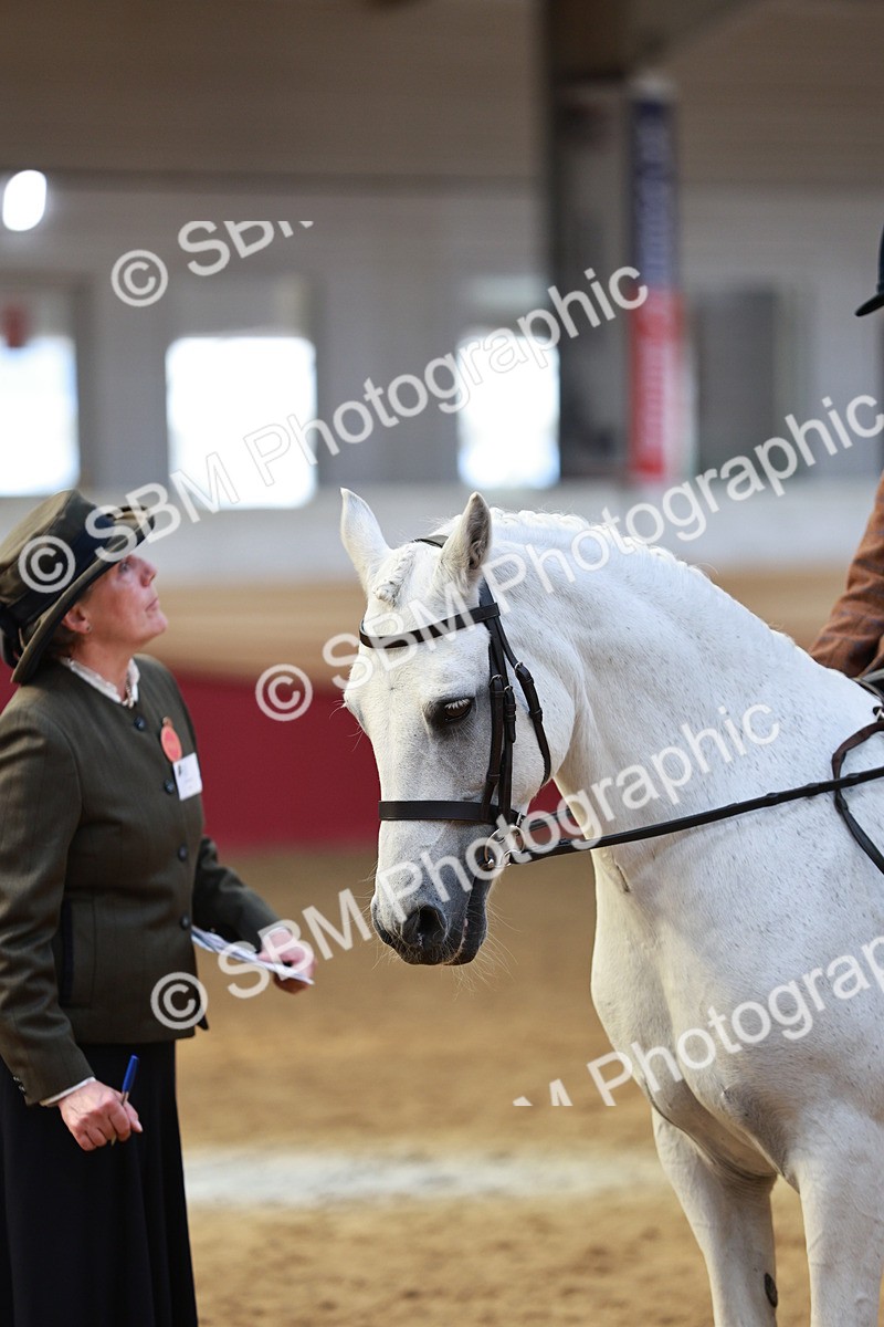 SBM_08326 - Class 11R - Regional Ridden Veteran