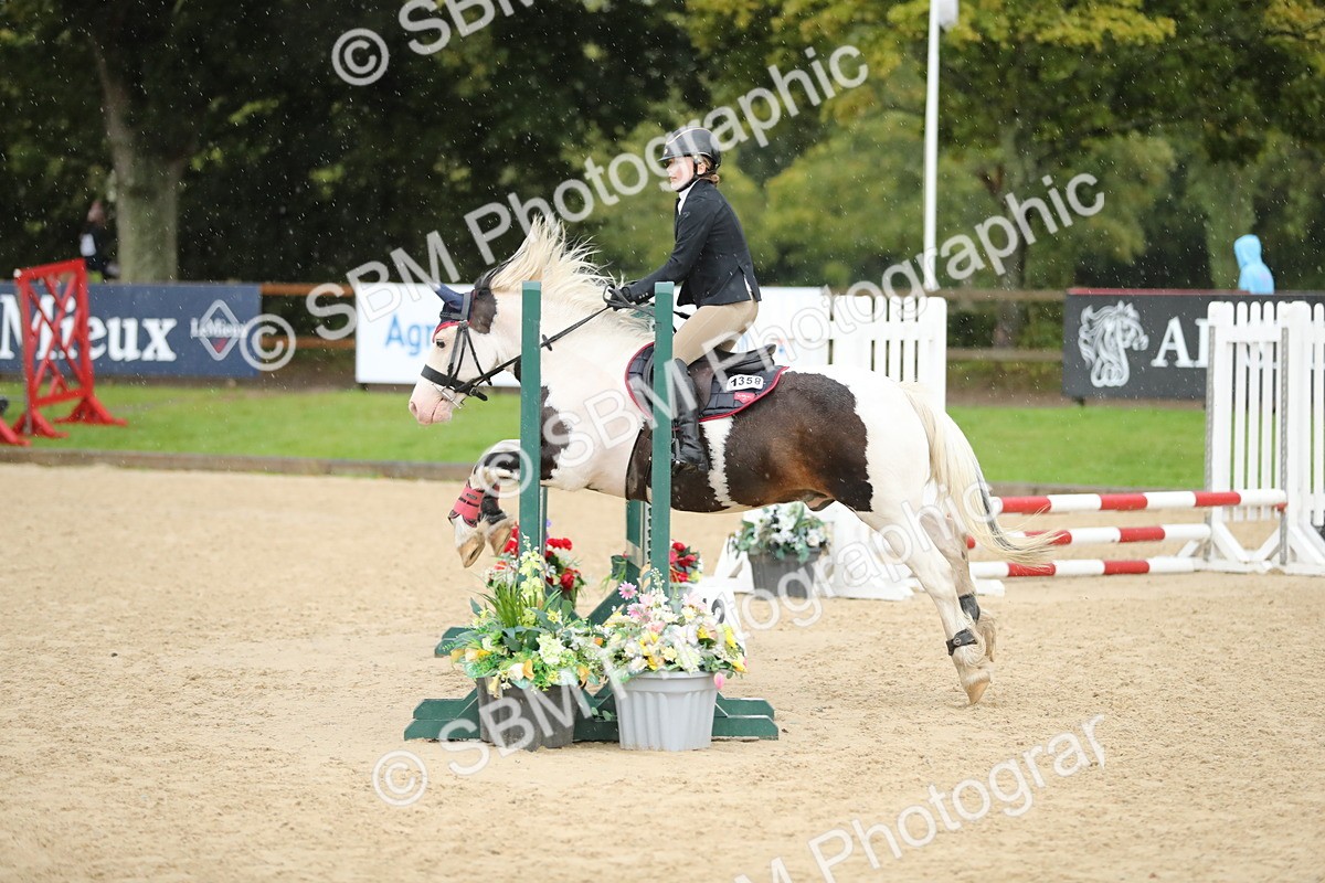 SBM_34368 - J60 Clear Round 50cm