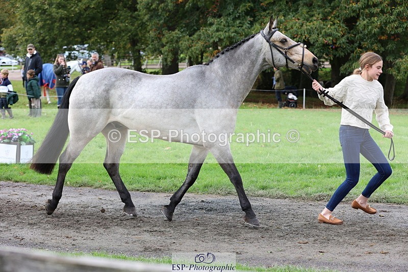 251026A-114109-25617 - G-512-Tilly.Newman-Moore