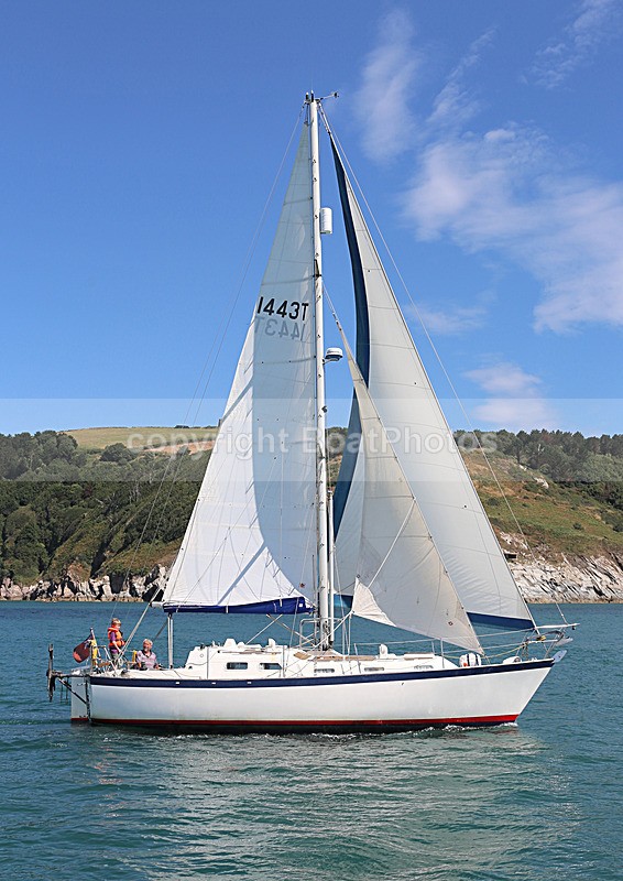 140729 SCOT FREE GBR1443T WT7A1835 - 140729 SCOT FREE GBR1443T
