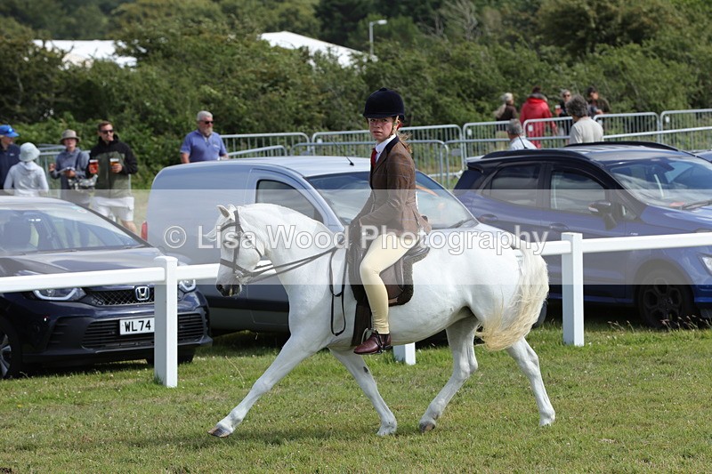 1X9A5722 - Class 40: NPS Welsh A & B
