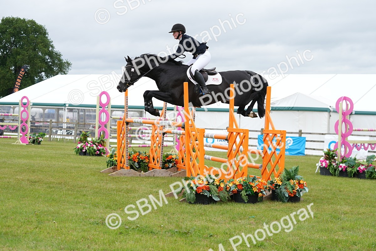 SBM_03319 - Class 201 - British Horse Feeds Speedi Beet Horse of the Year Show Grade  C