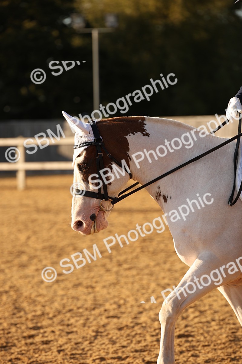 SBM_31485 - D11 - Small Tour Championship - Prelim 13