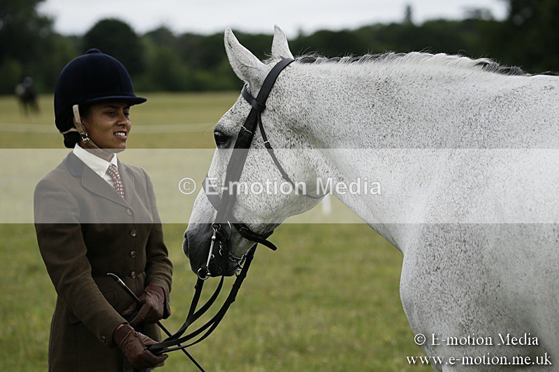 BVR160717-222 - Ring 2 BVRC Show 16/07/17