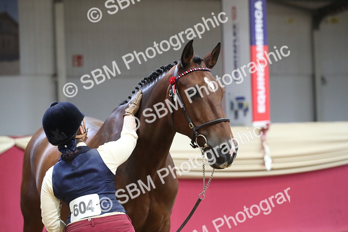 SBM_06404 - Class 9R Regional- IH Pre Vet