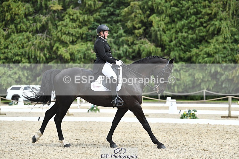 230812-140324-04585 - Cls 7 FEI PSG Bronze