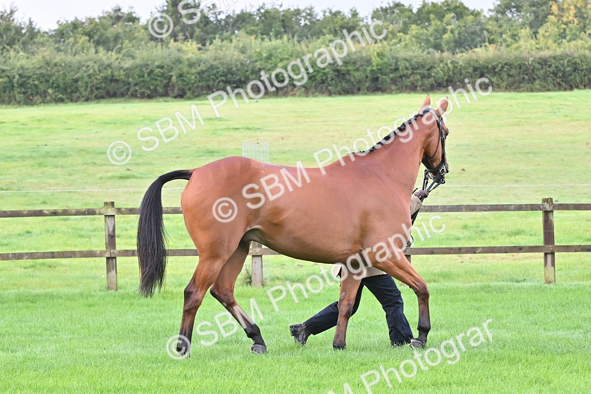 SBM_32627 - S15 - Top Turnout In Hand