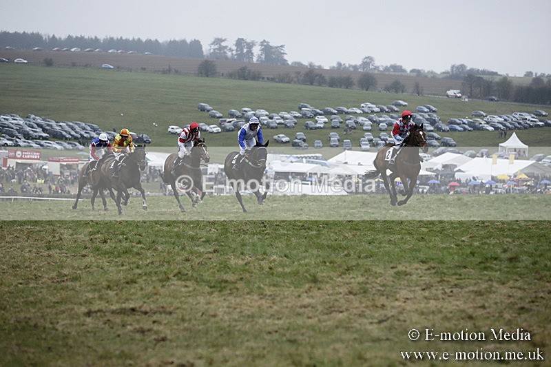 PtP 020418 -152 - Old Berks Point-to-Point Races Easter Monday 02/04/18