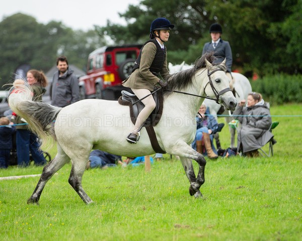 Dunblane show-430 - Dunblane and Doune Show Ring 1