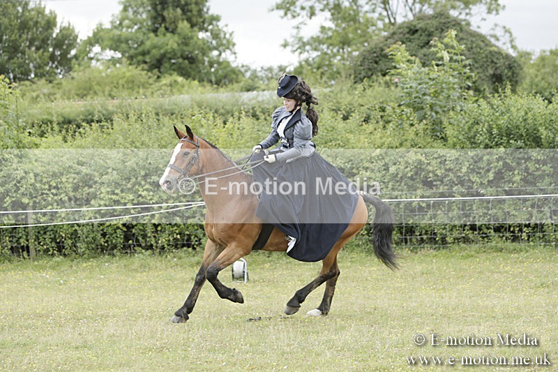 BVR160717-2433 - Side Saddle Classes 16/07/17