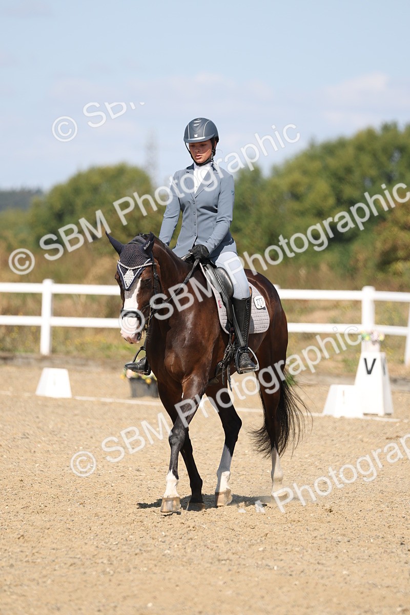 SBM_013611 - Class 1 - P5 Bronze 10.38.12.02