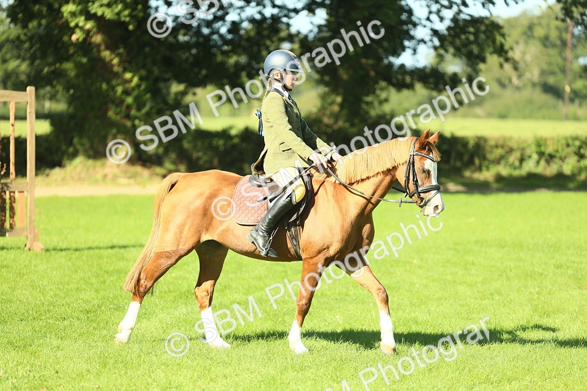 SBM_37433 - S29 - Novice & Newcomers Working Hunter Pony