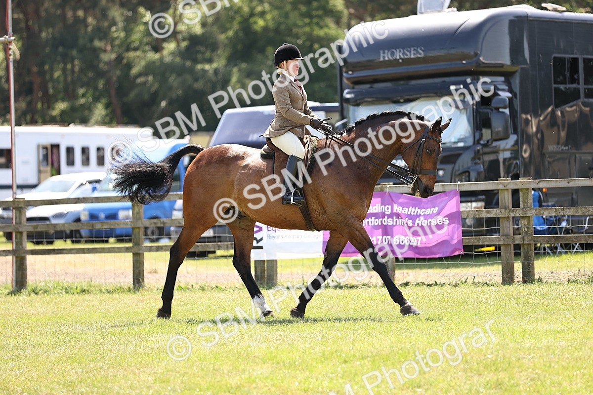 SBM_17697 - Class 81-83 - TSR Ridden Amateur of the Year - Horses
