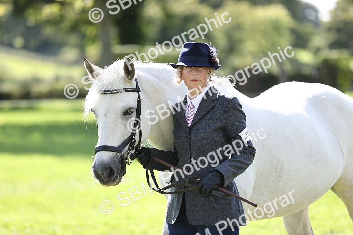 SBM_26225 - S5 - Novice & Newcomers In Hand