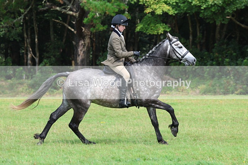 3E7A5994 - Class 28: 75cm Working Hunter