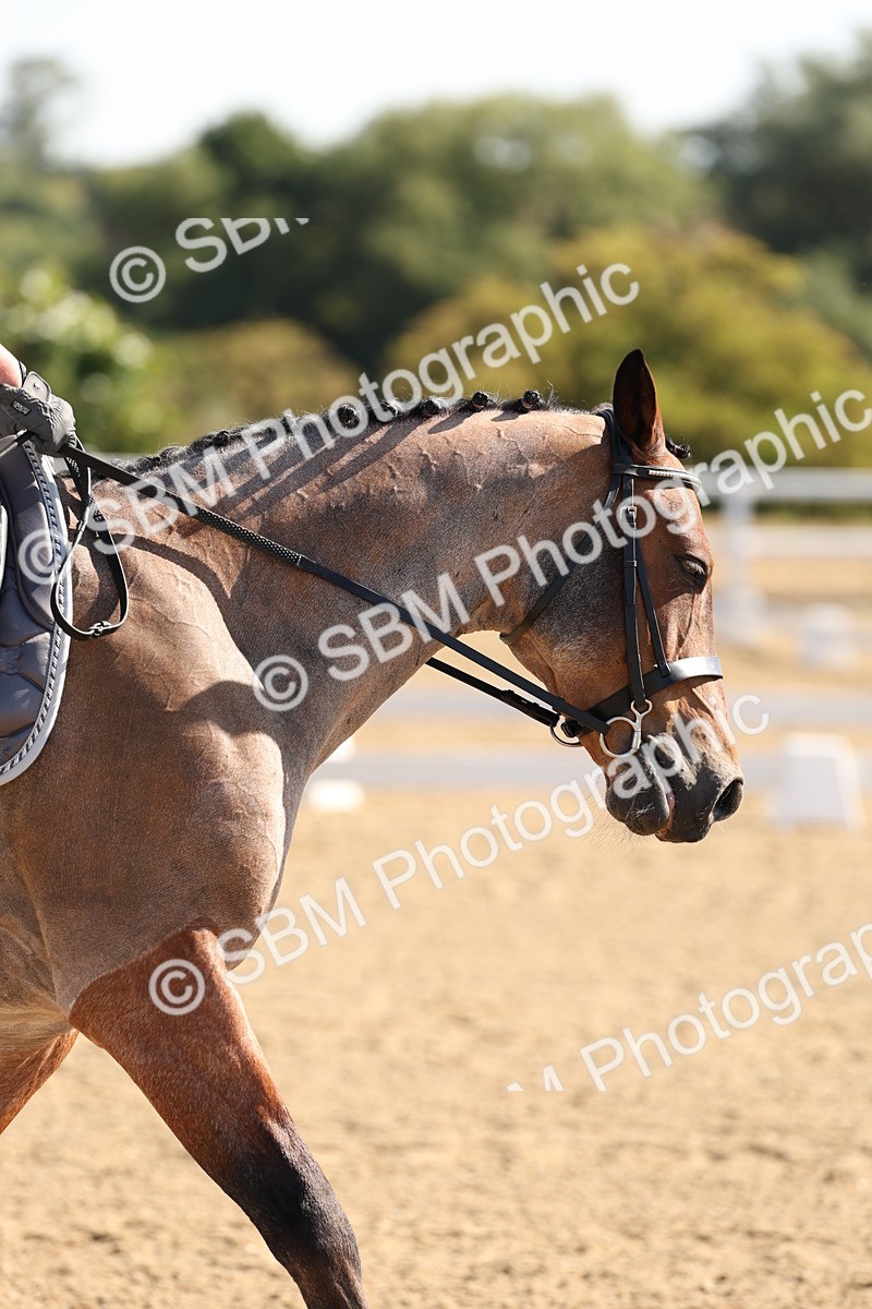SBM_000318 - Intro 2 Warm Up