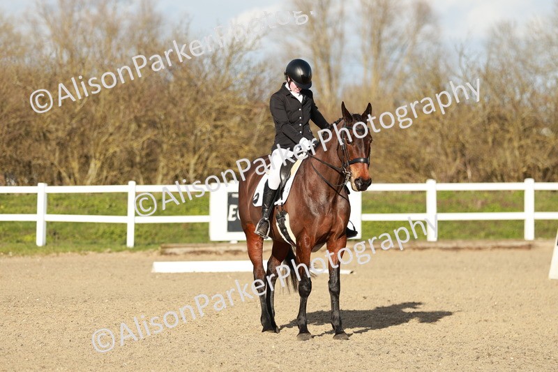 20260314-6238 - CT7 - Elementary 2