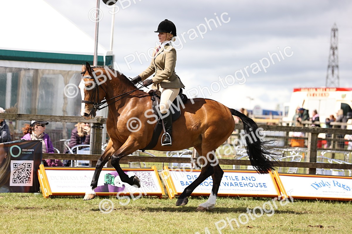 SBM_14550 - Class 88-89 - LIHS BSHA Rising Star of Ridden Hunter Type
