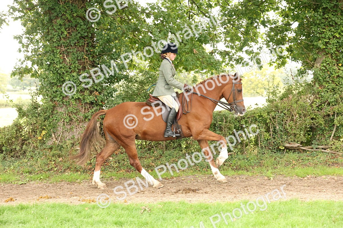 SBM_66312 - S66 - Hunter Ridden