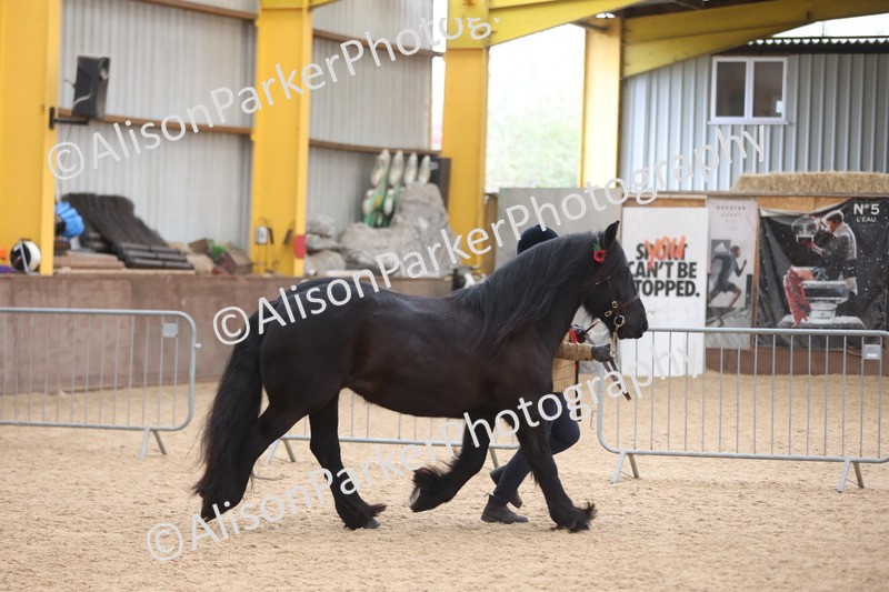 20251109-1152 - Championship