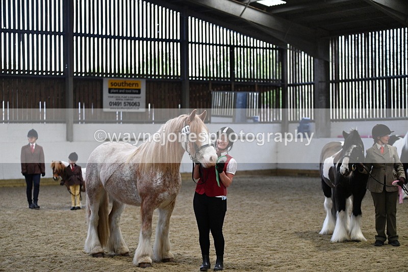 WJ5_5152 - Class 7 In hand coloured / odd coloured