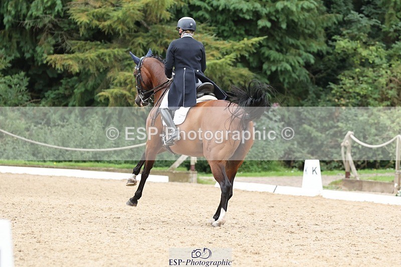 240810-151911-03965 - 231-Louise.Hutchinson-Donnarella