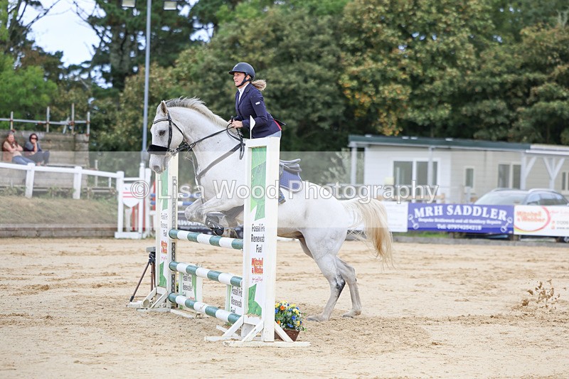 3E7A2220 - Class 4: Senior British Novice/90cm open
