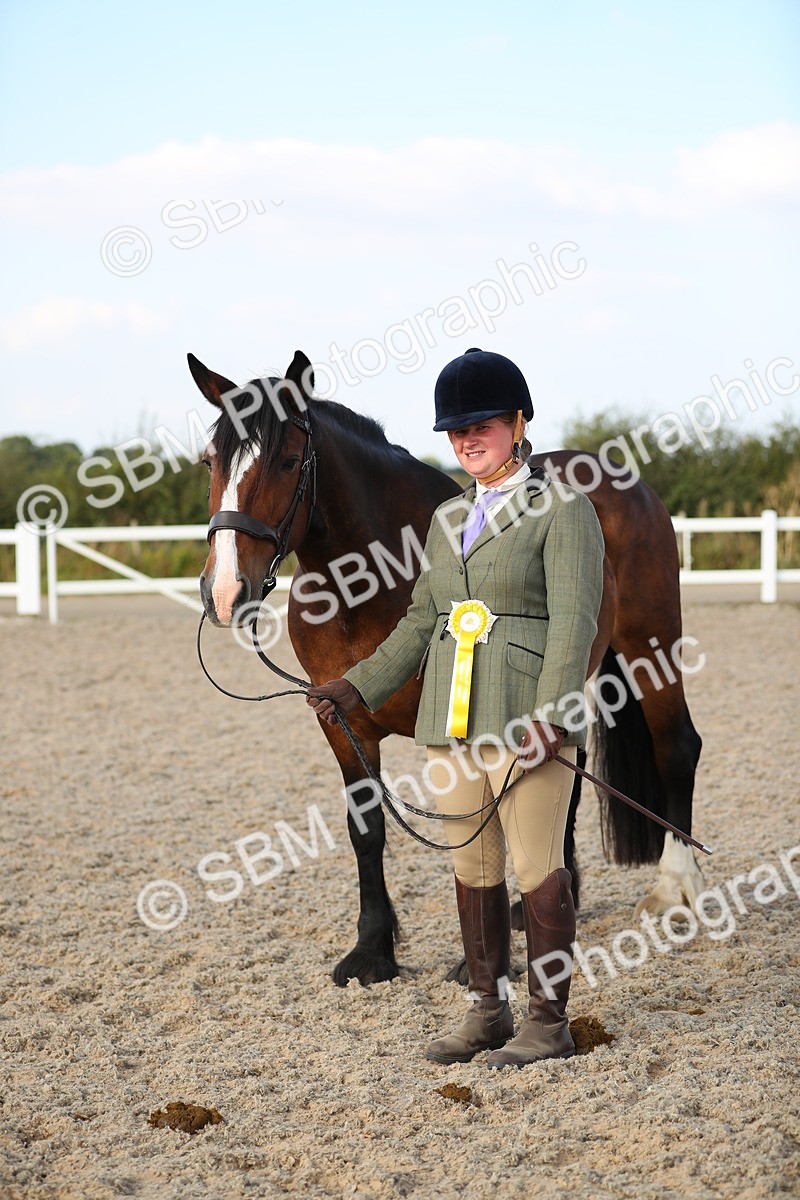 SBM_08714 - Class 28 - IH Veteran Horse