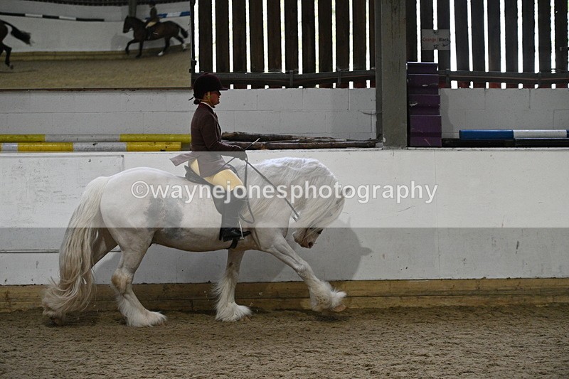 WJ7_3869 - Class 17 Ridden Cob